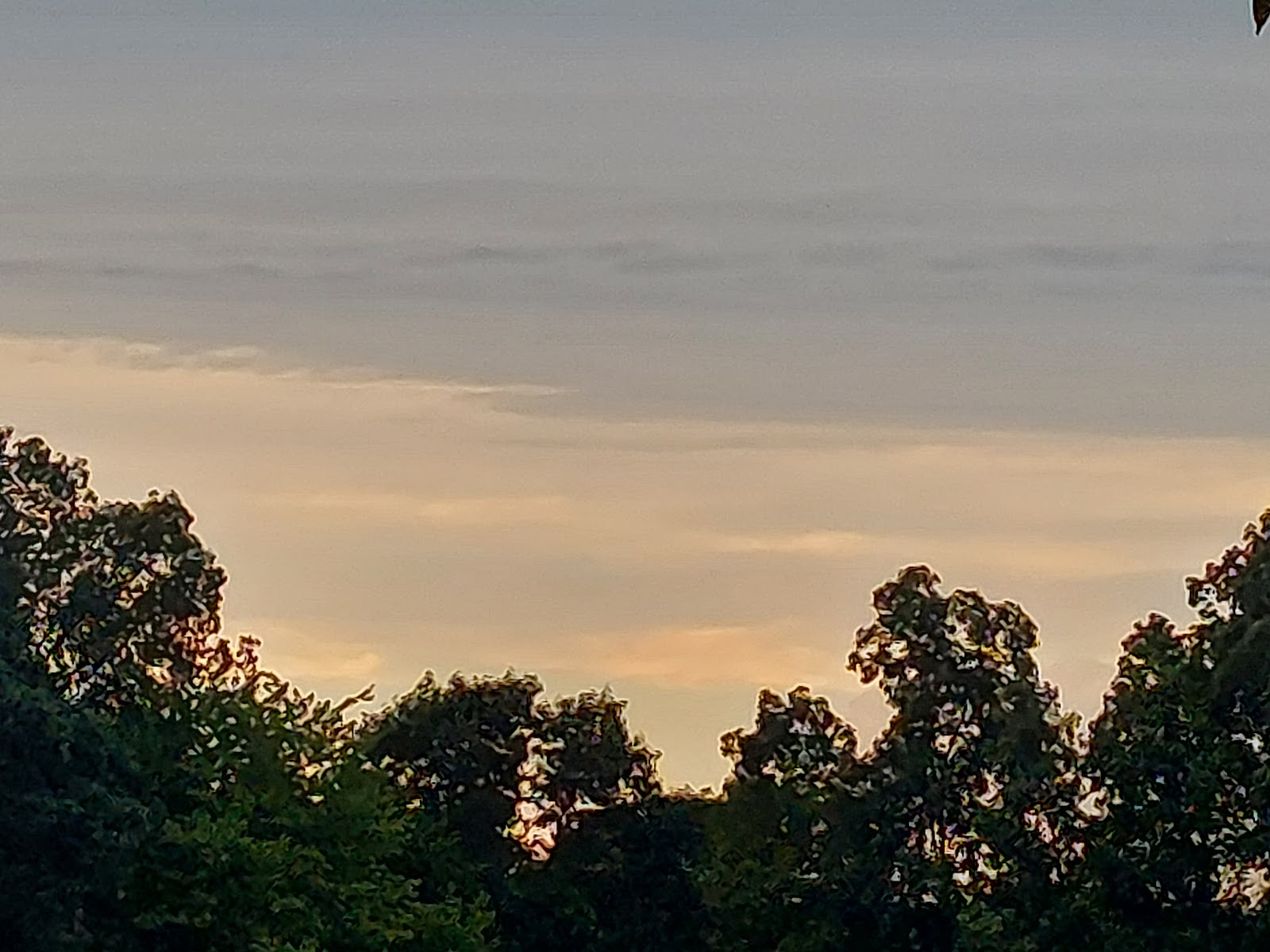 ABC Country Camping and Cabins