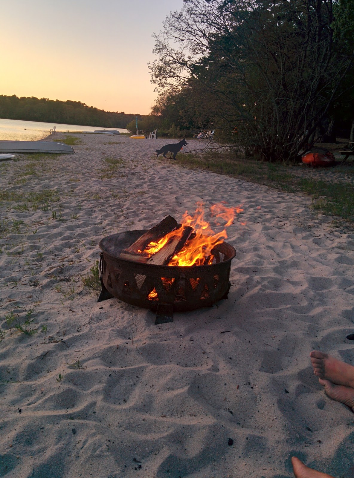 Lawrence Pond Village