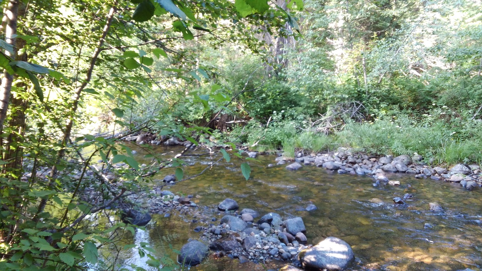 Pete Creek Campground