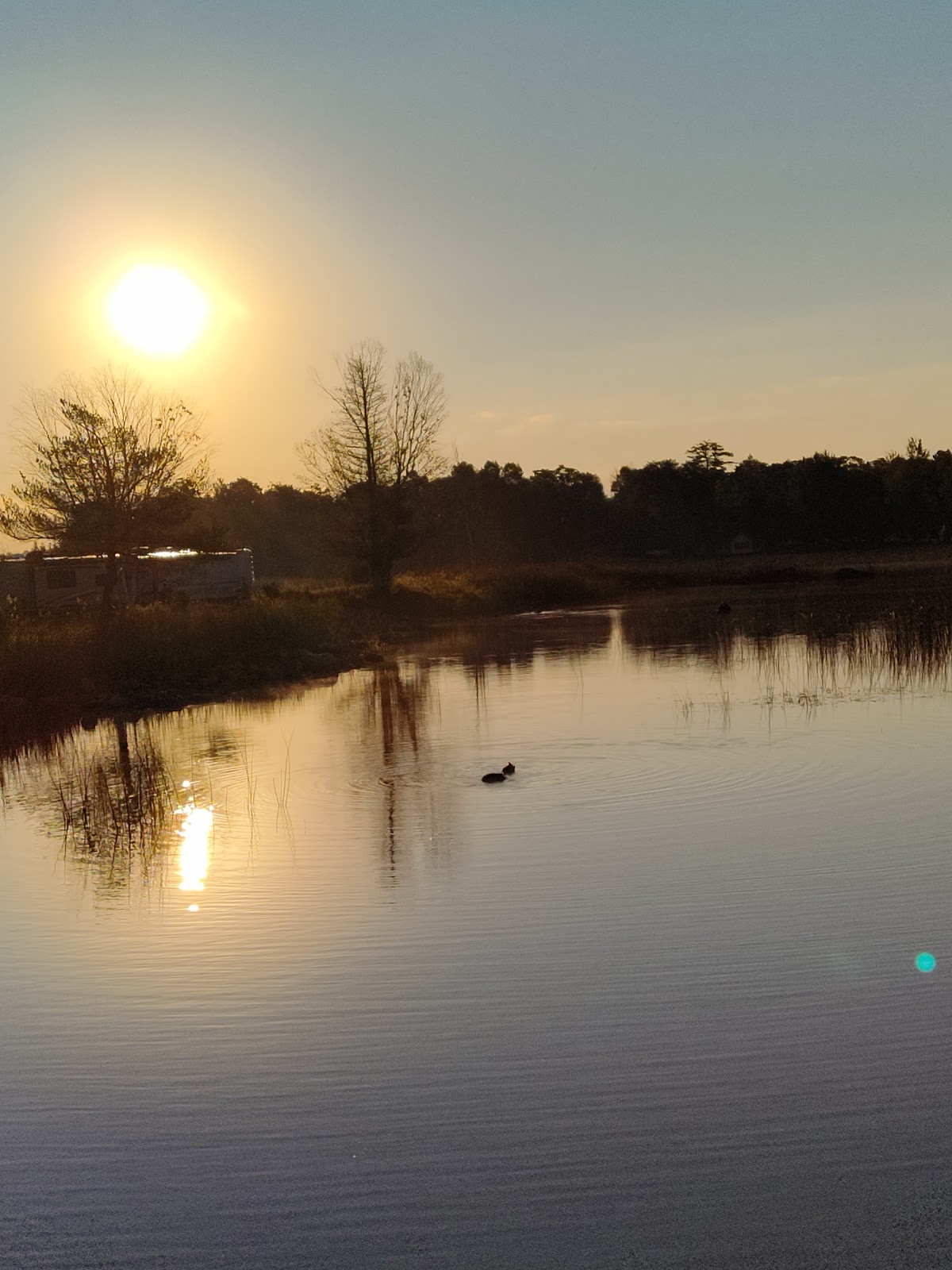 Loons Point RV Park and Campground