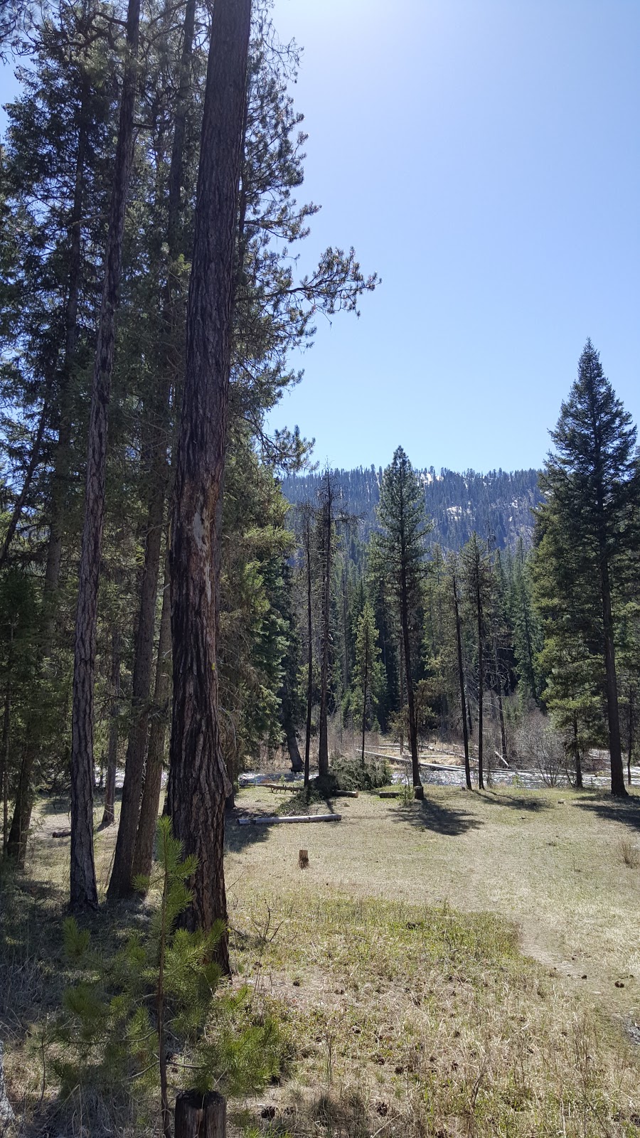 Poverty Flat Campground