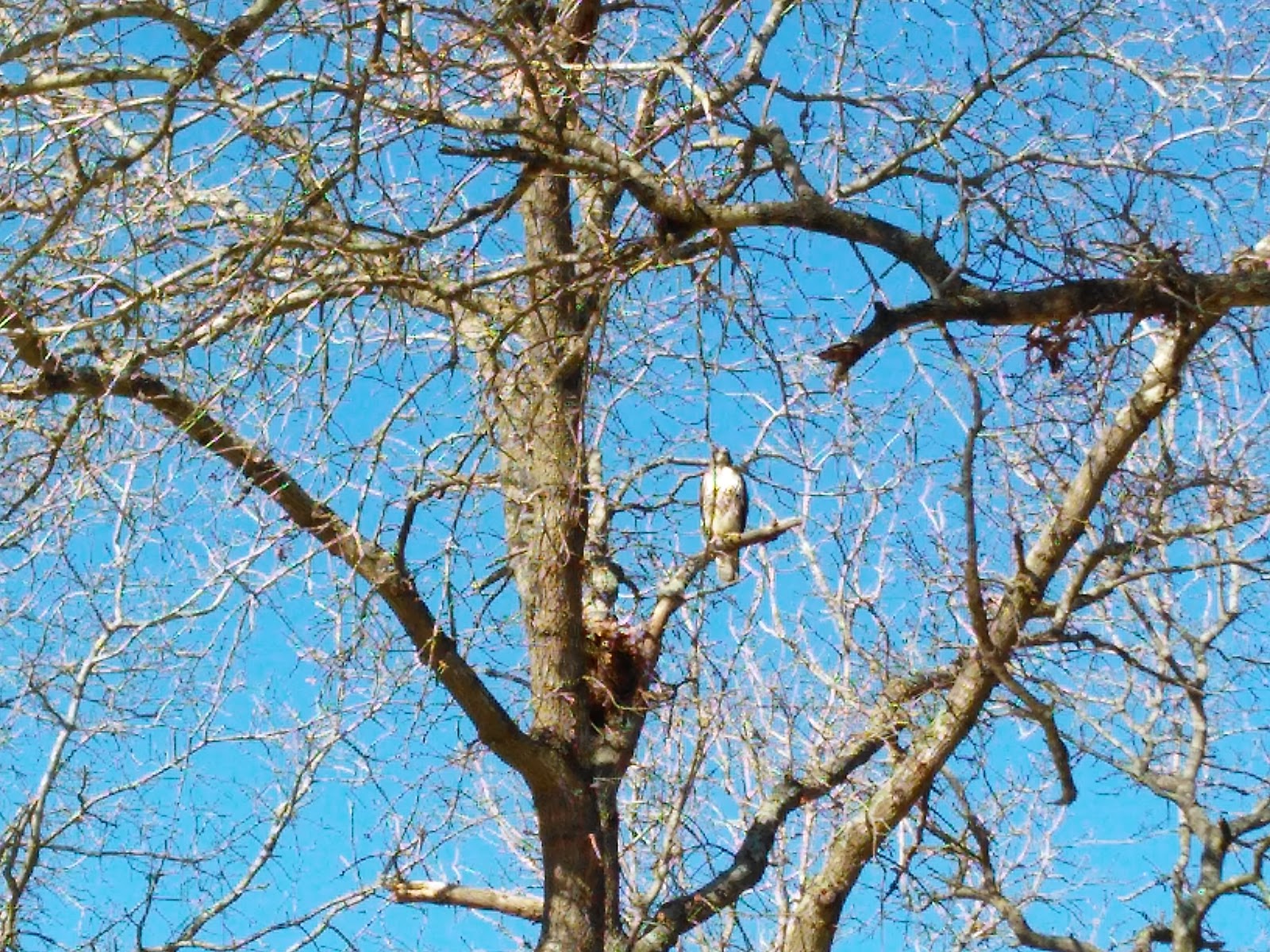 Spacious Skies Sandy Run