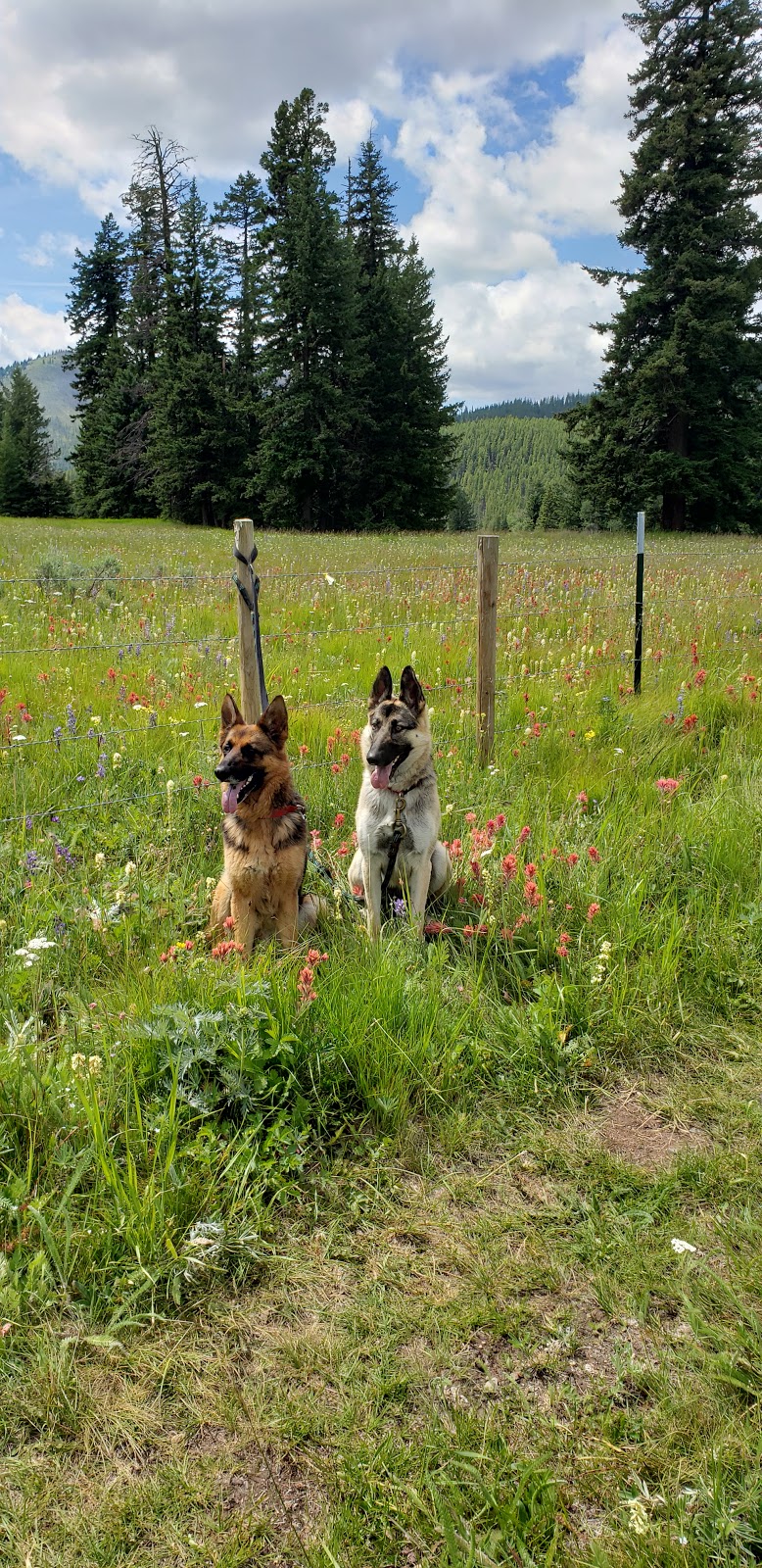 Salmon Meadows Campground