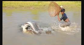 Fishermanâ€™s Haven