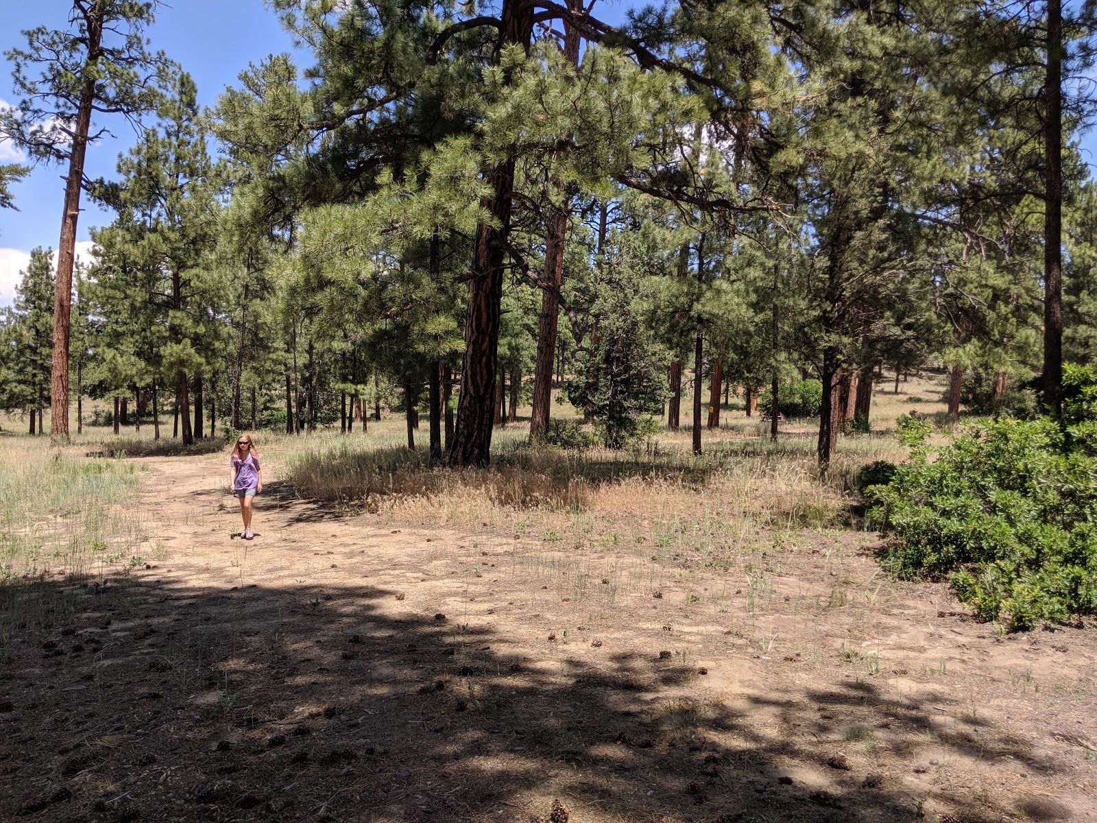 Buzzard Park Campground