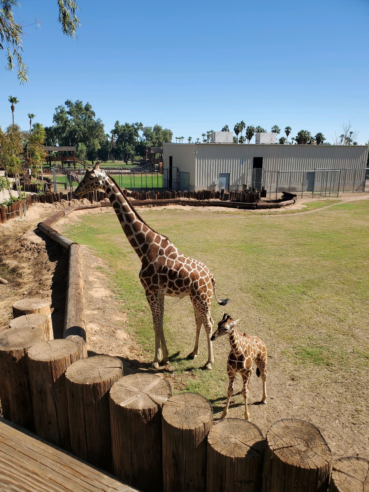 Wildlife World Zoo, Aquarium & Safari Park