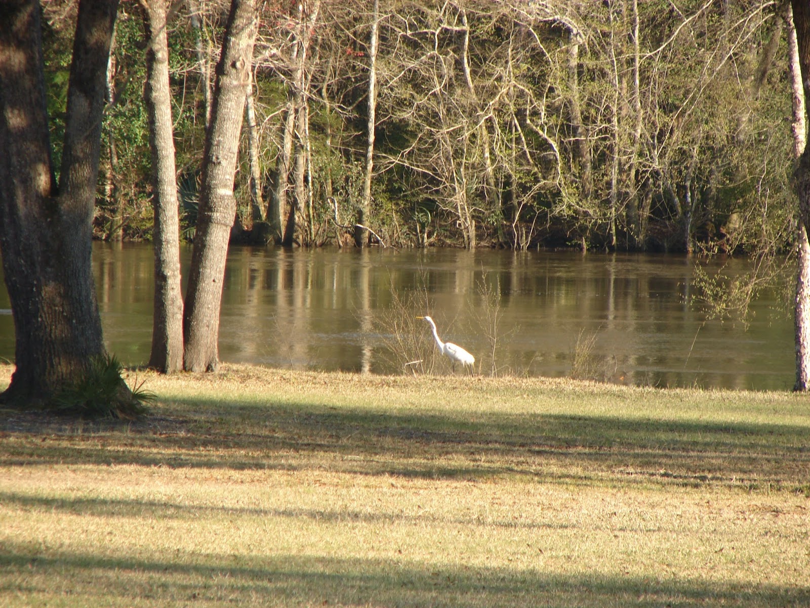 Rivers Edge RV Campground