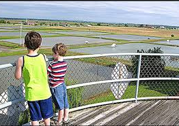 Joe Hogan Fish Hatchery