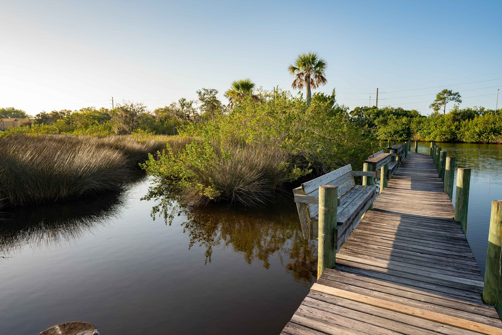 Sun Resorts & Residences Horseshoe Cove