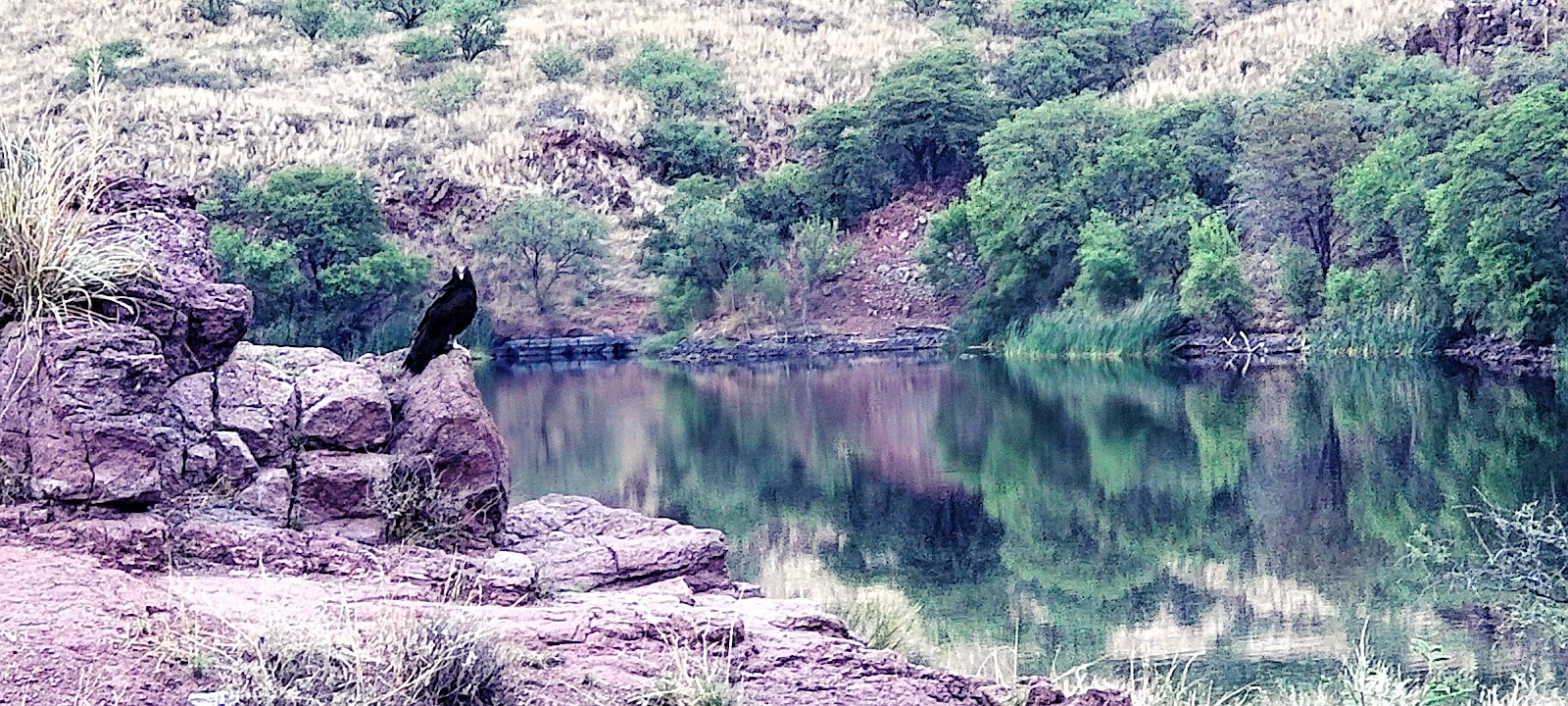 White Rock Campground