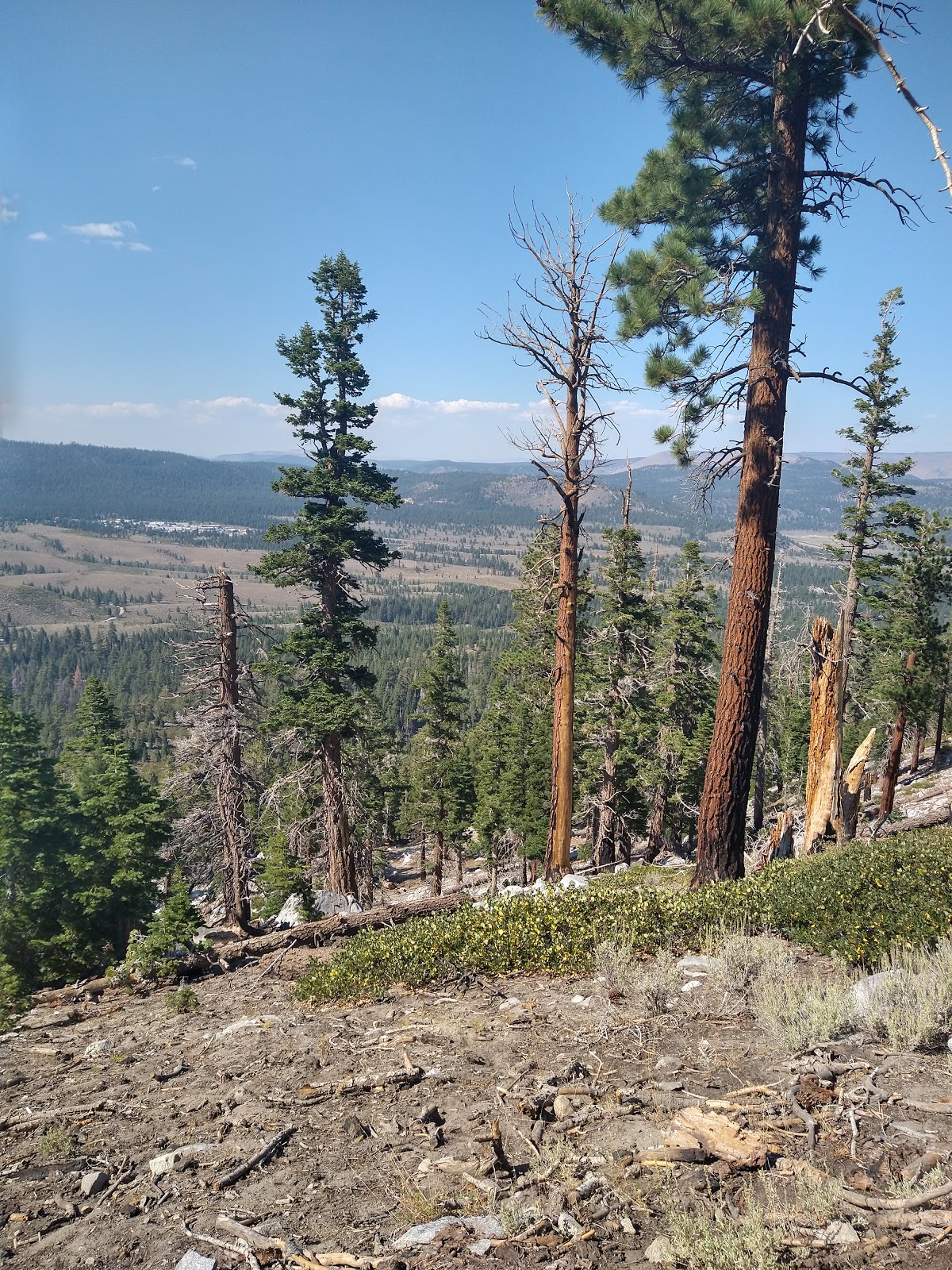 Sherwin Creek Campground