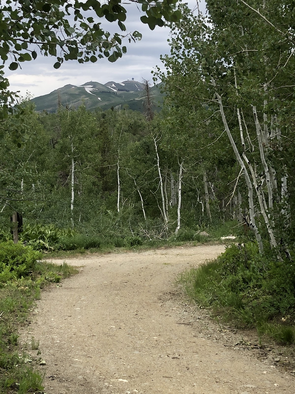 Bountiful Peak Campground