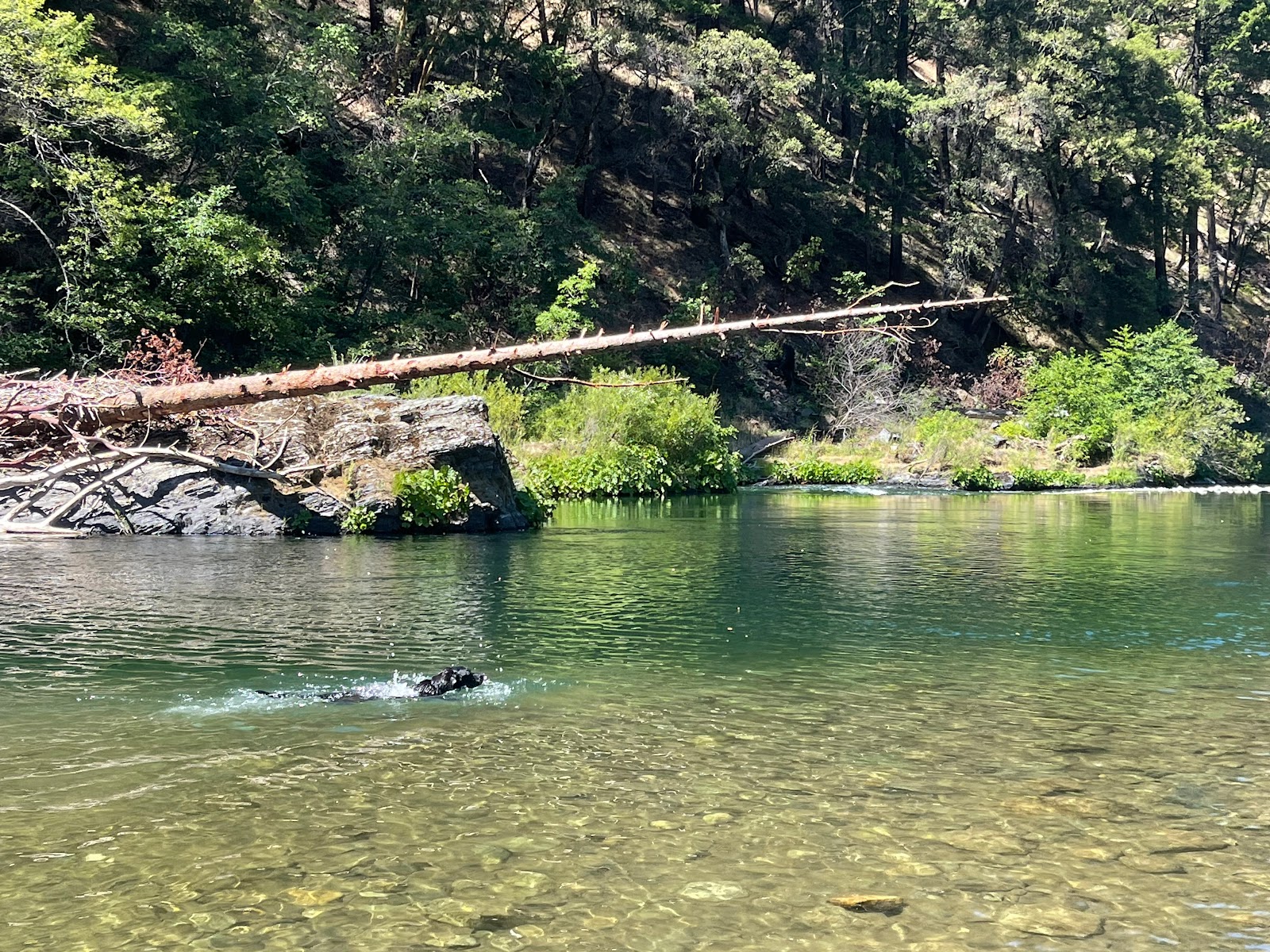 Pigeon Point Campground