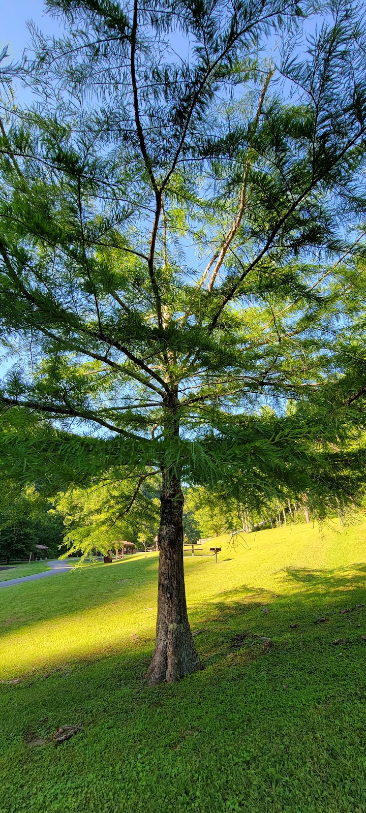 John W. Flannagan Dam