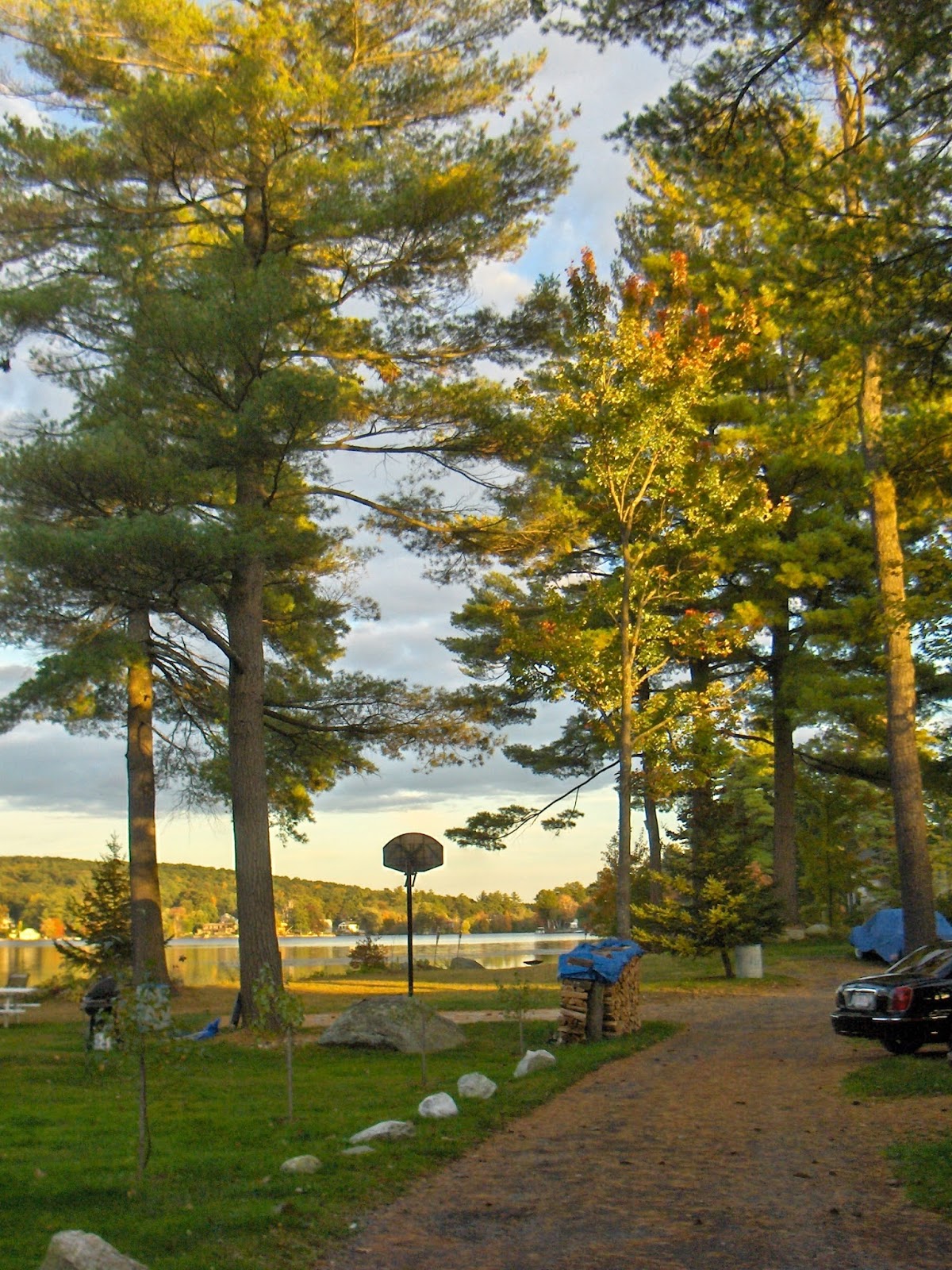 Berry's Grove Campground