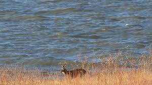 Little Bits of Kirwin RV Park