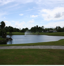 Pink Citrus Trailer Park