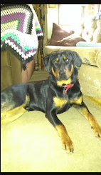 Oma's Family Campground