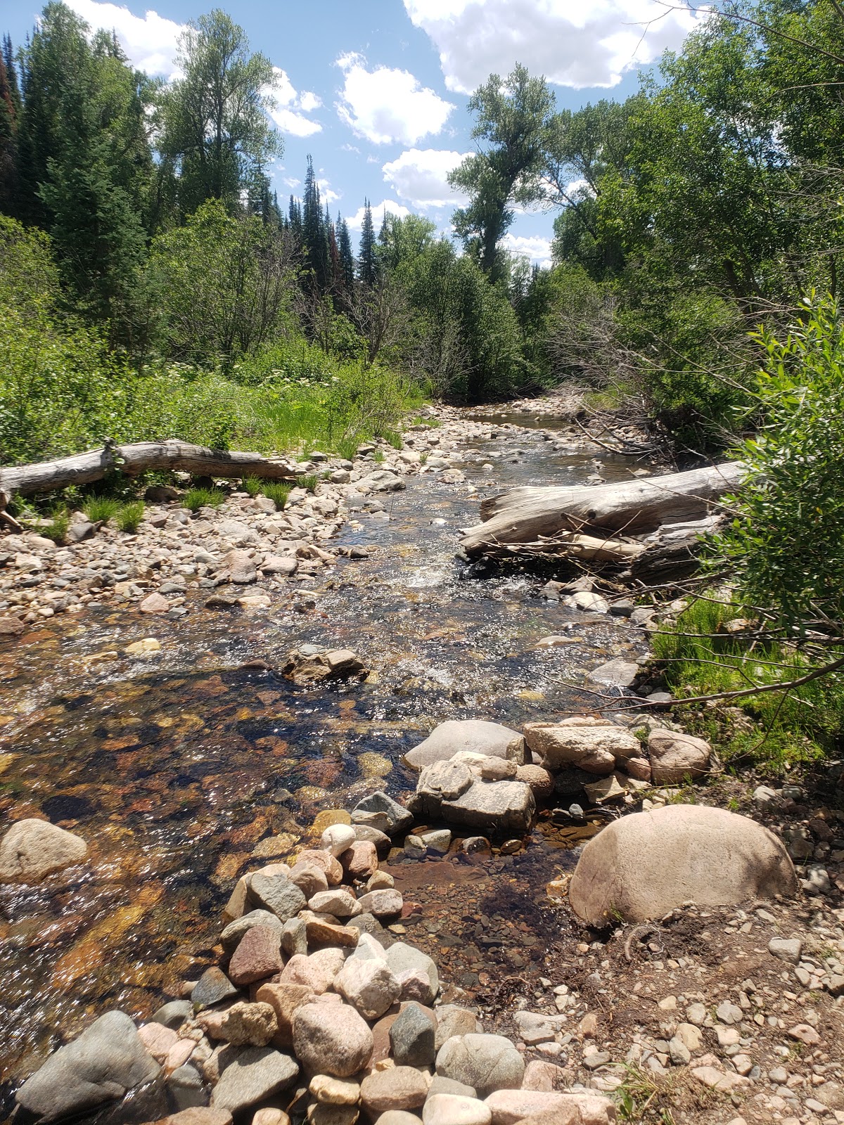 Battle Creek Campground