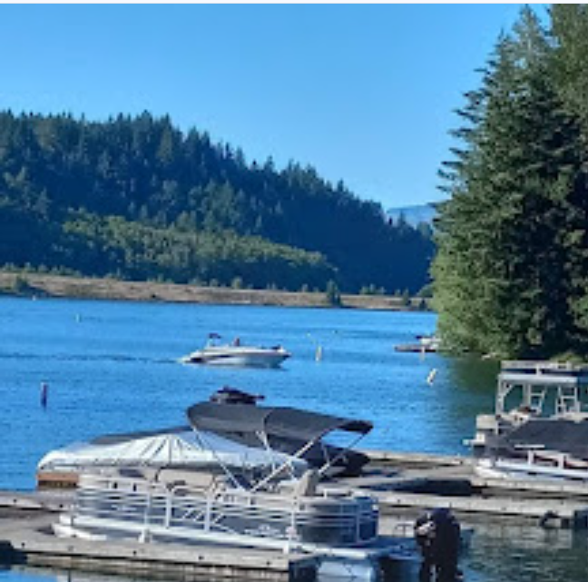 Lake Mayfield Resort & Marina