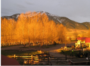 Rendezvous At South Fork