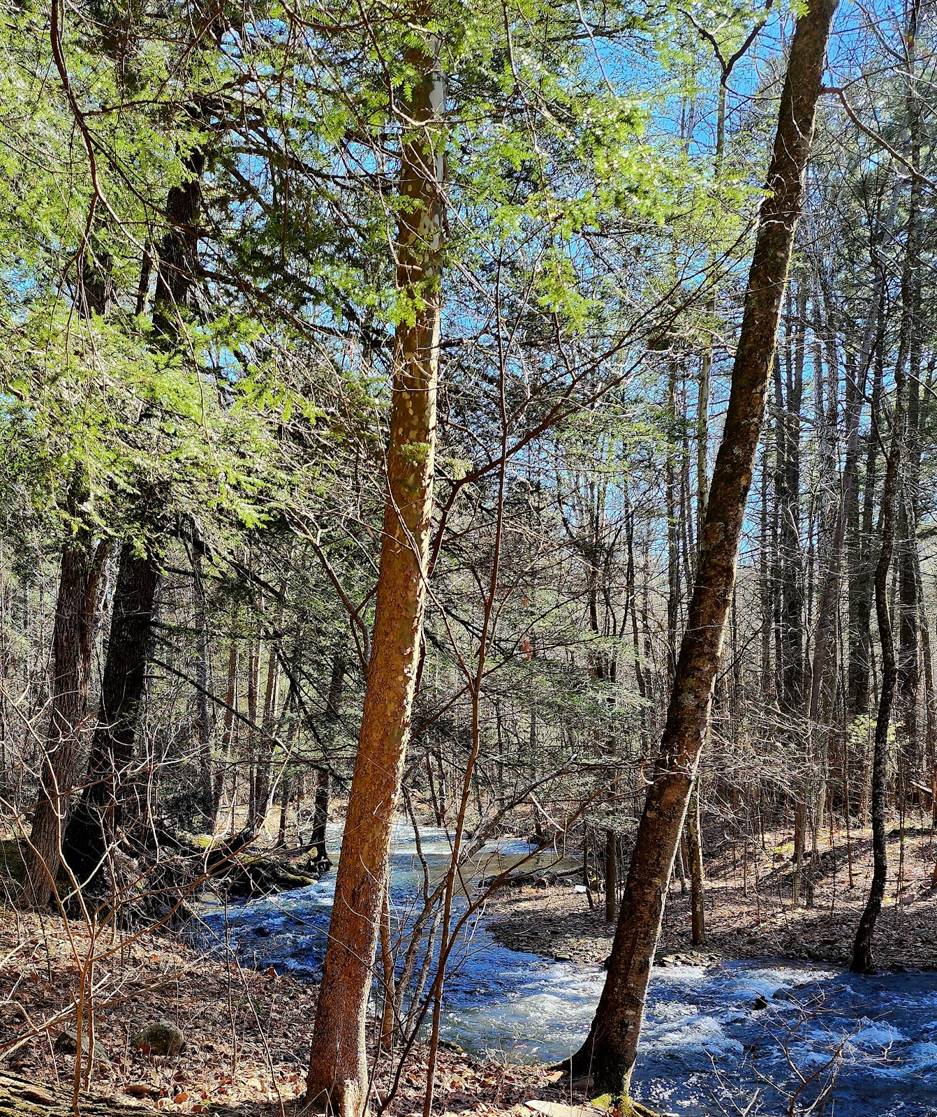 Hone Quarry Campground
