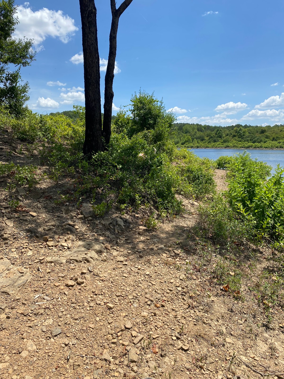 Brock Creek Lake Recreation Area