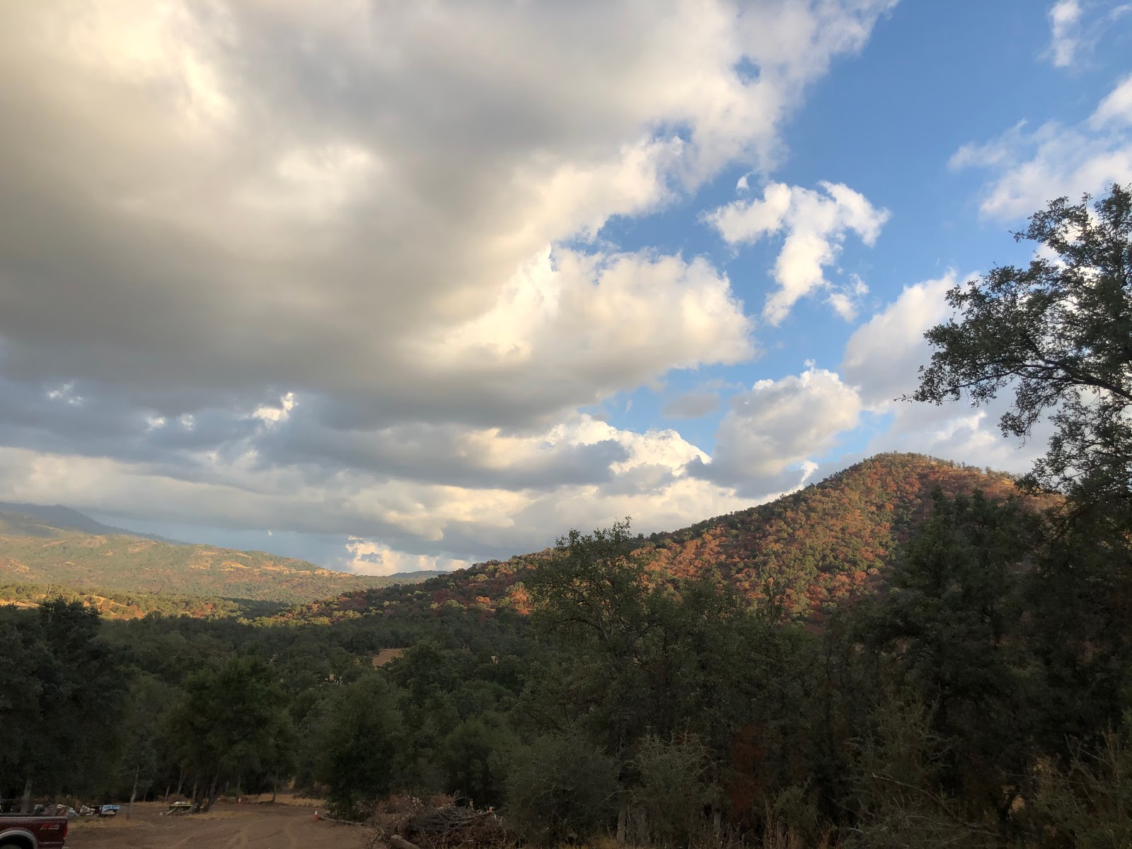 Camp Ikigai at Ikigai Animal Sanctuary