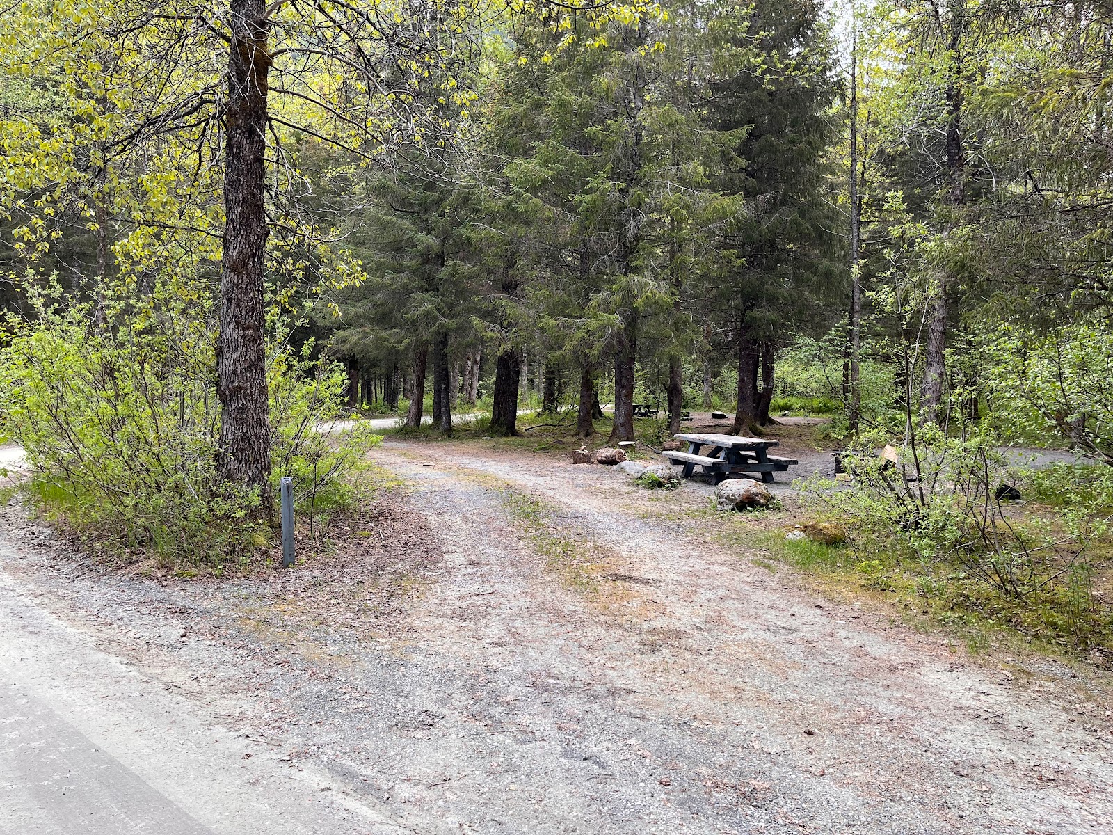 Black Bear NF Campground