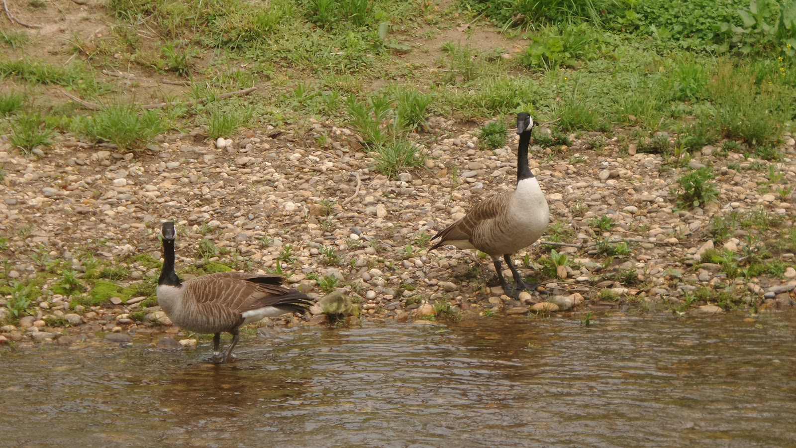 Riverbend RV Park-Campground