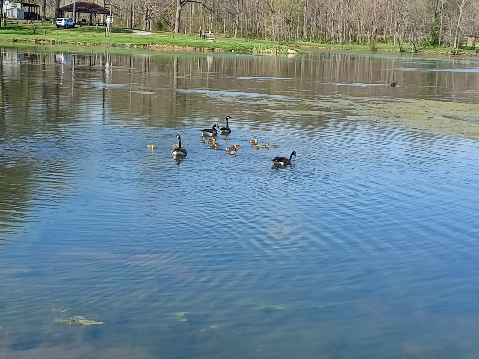 Manlove Park Camping