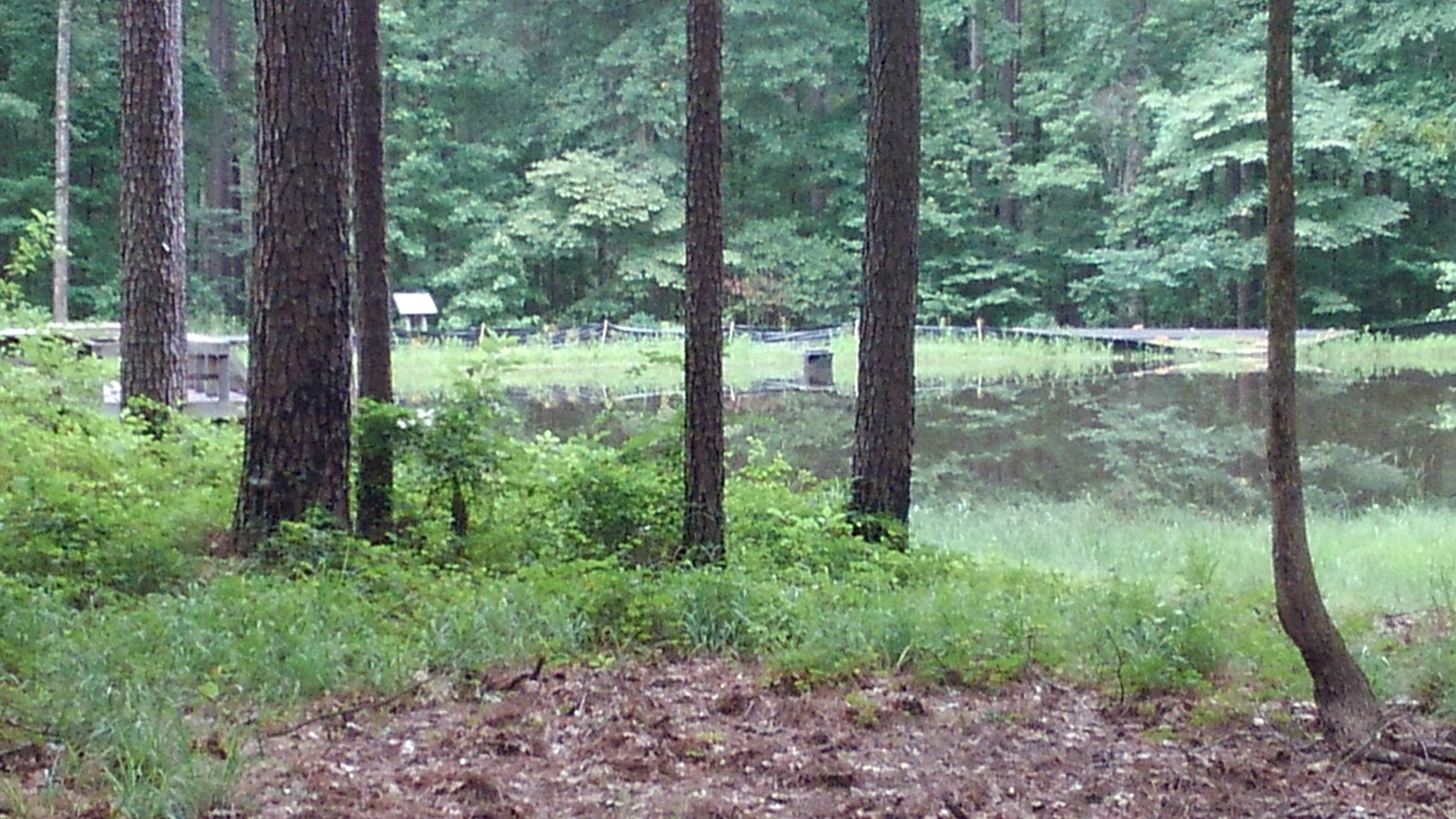 Felsenthal National Wildlife Refuge