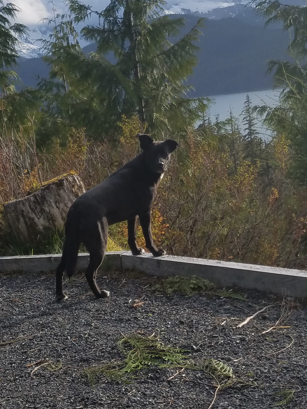Nemo Campsites NF Campground