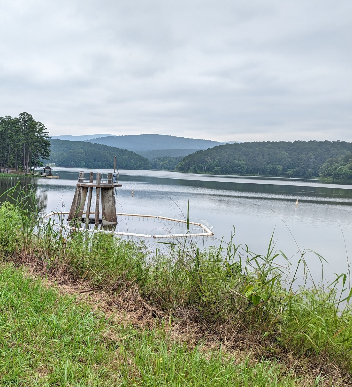 Cedar Lake NF Campground