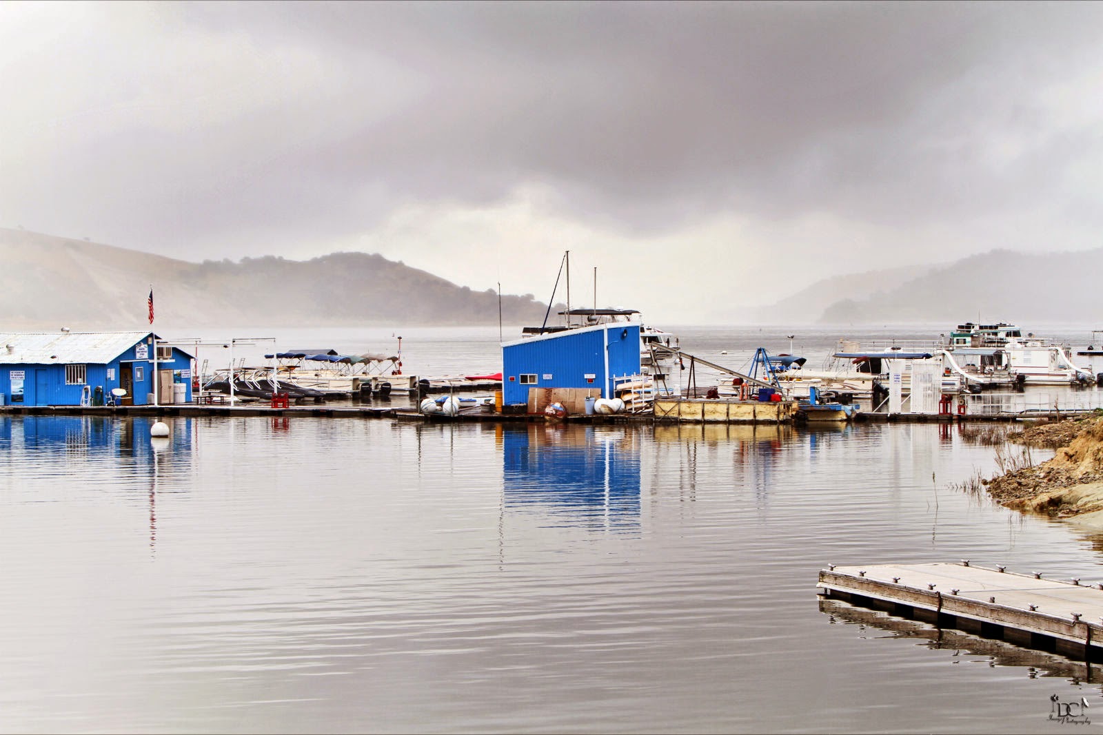 Lake San Antonio South Shore