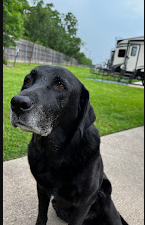 Timber Ridge RV Park