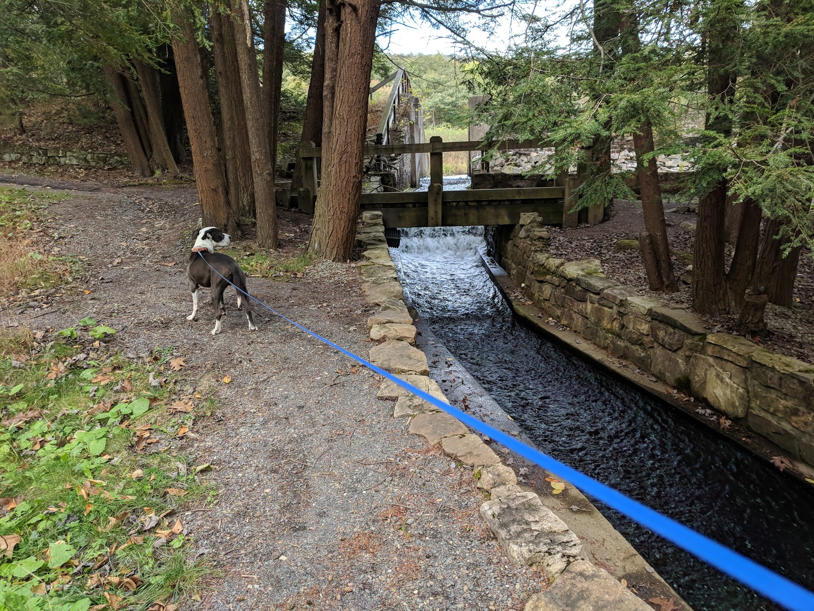 Penn-Roosevelt State Park