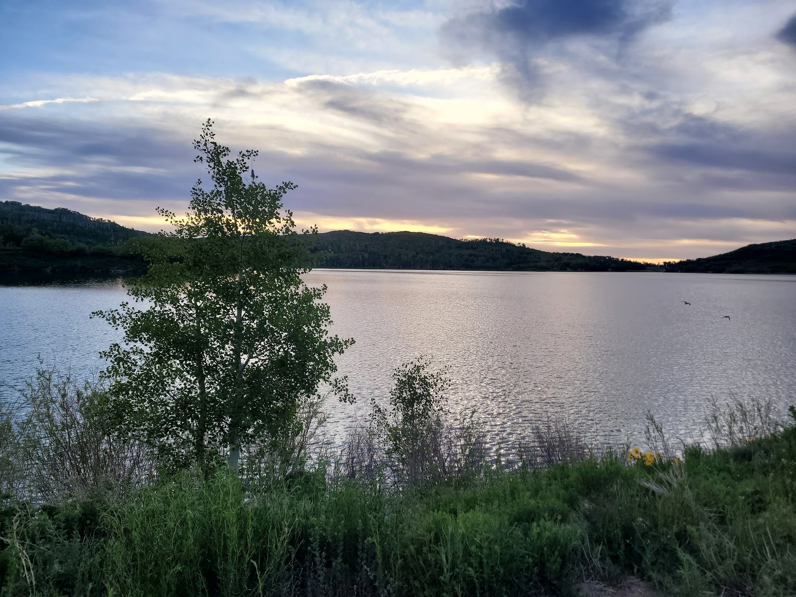 Kolob Reservoir Dispersed Camping