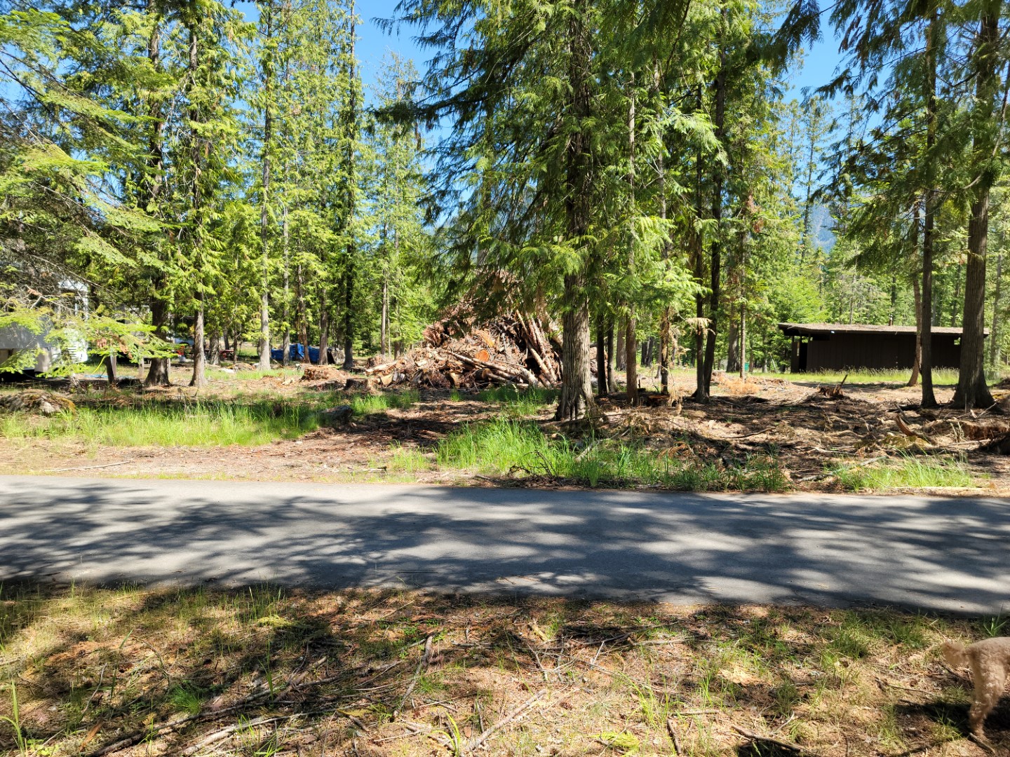 Idaho Panhandle/Sam Owen Campground