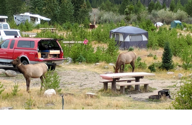 Rocky Mountain National Park Timber Creek Campground