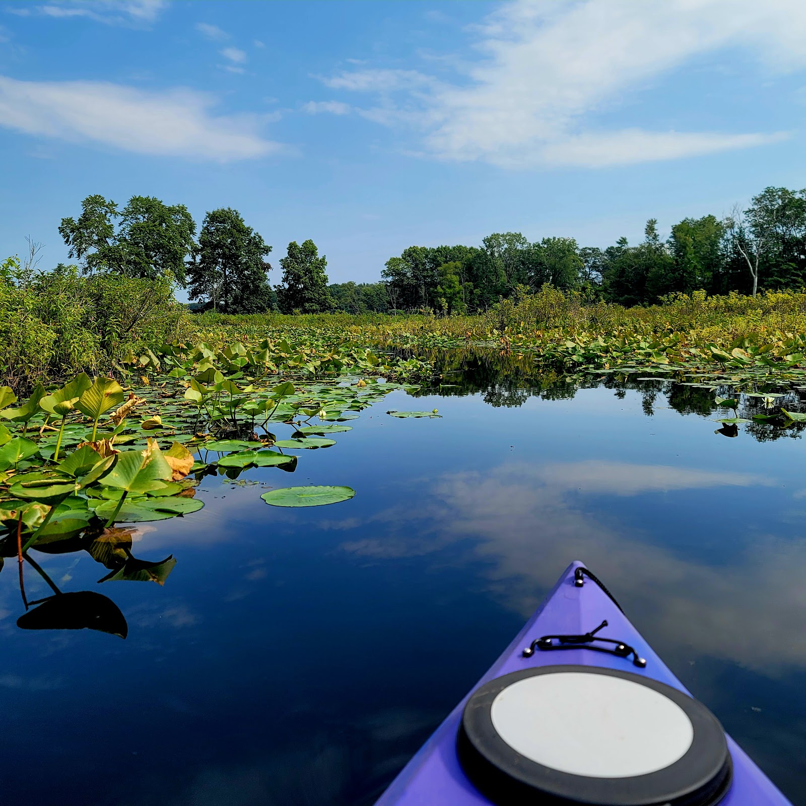 Goff Lake Campgrounds