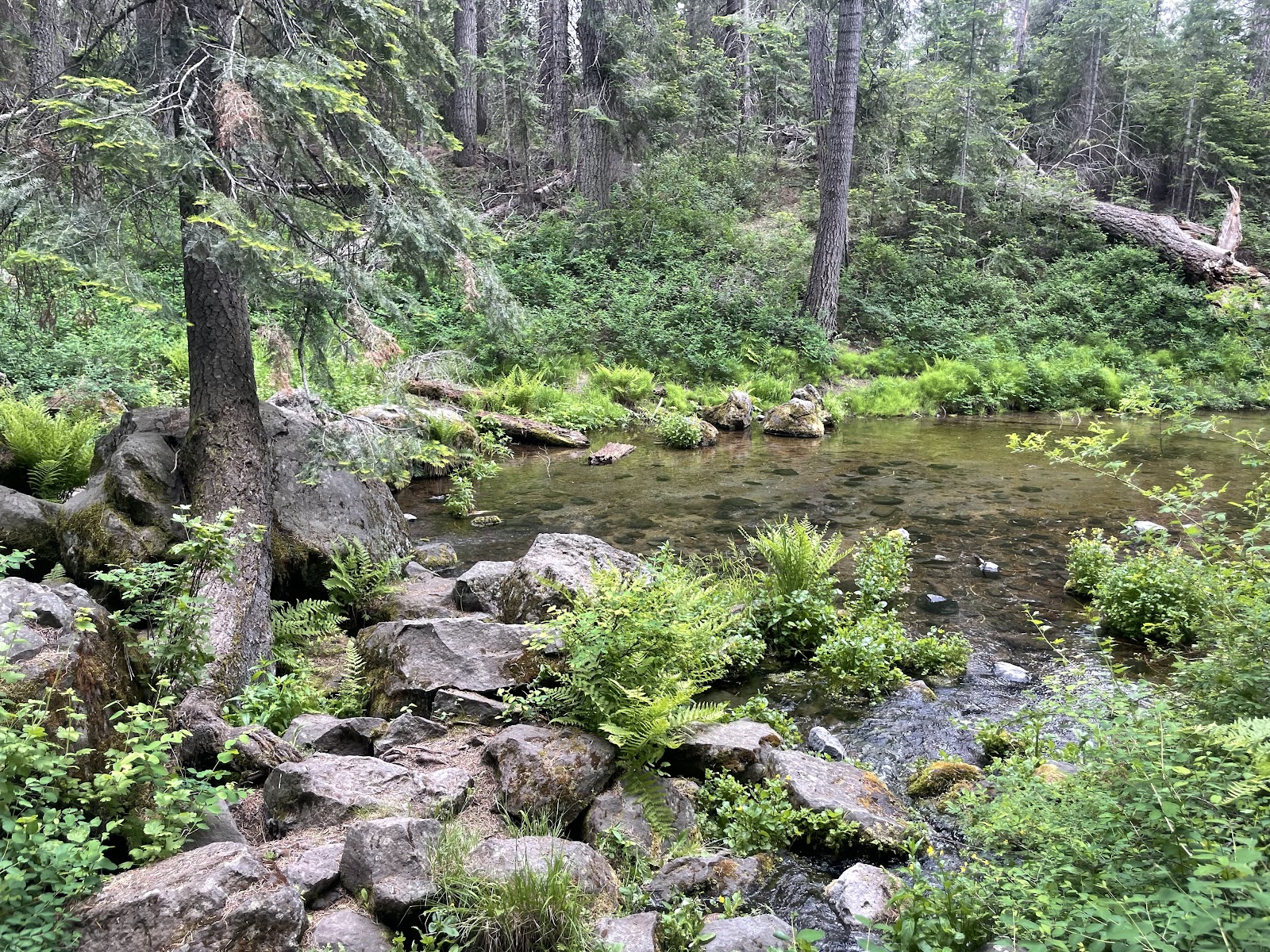 J. F. Kimball State Recreation Site