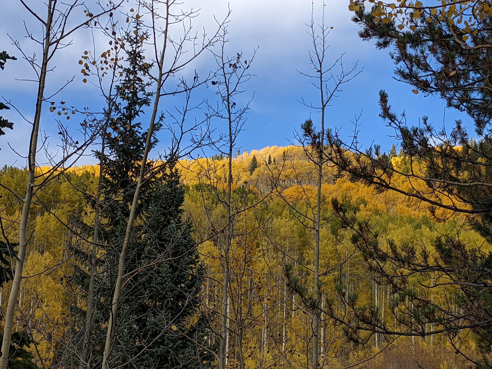 Fulford Cave Campground