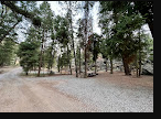 Williams Lake Campground