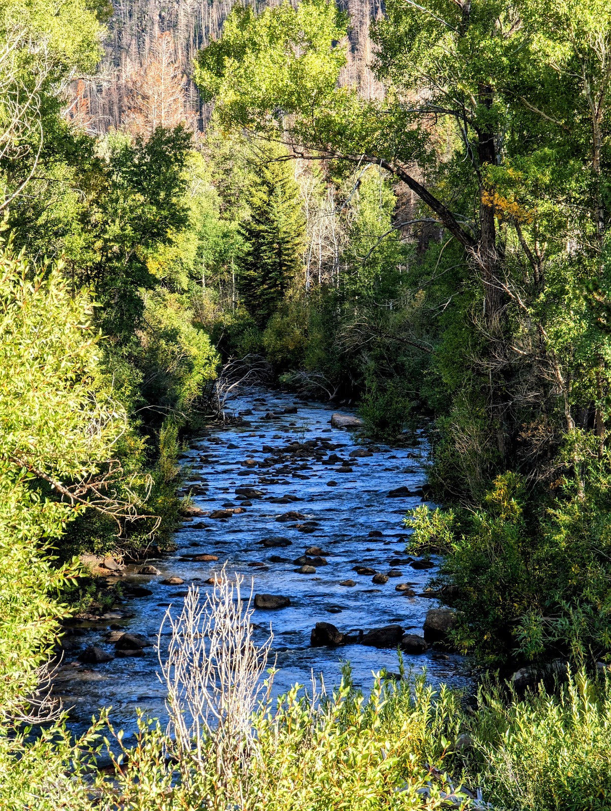 Pike Pole Campground