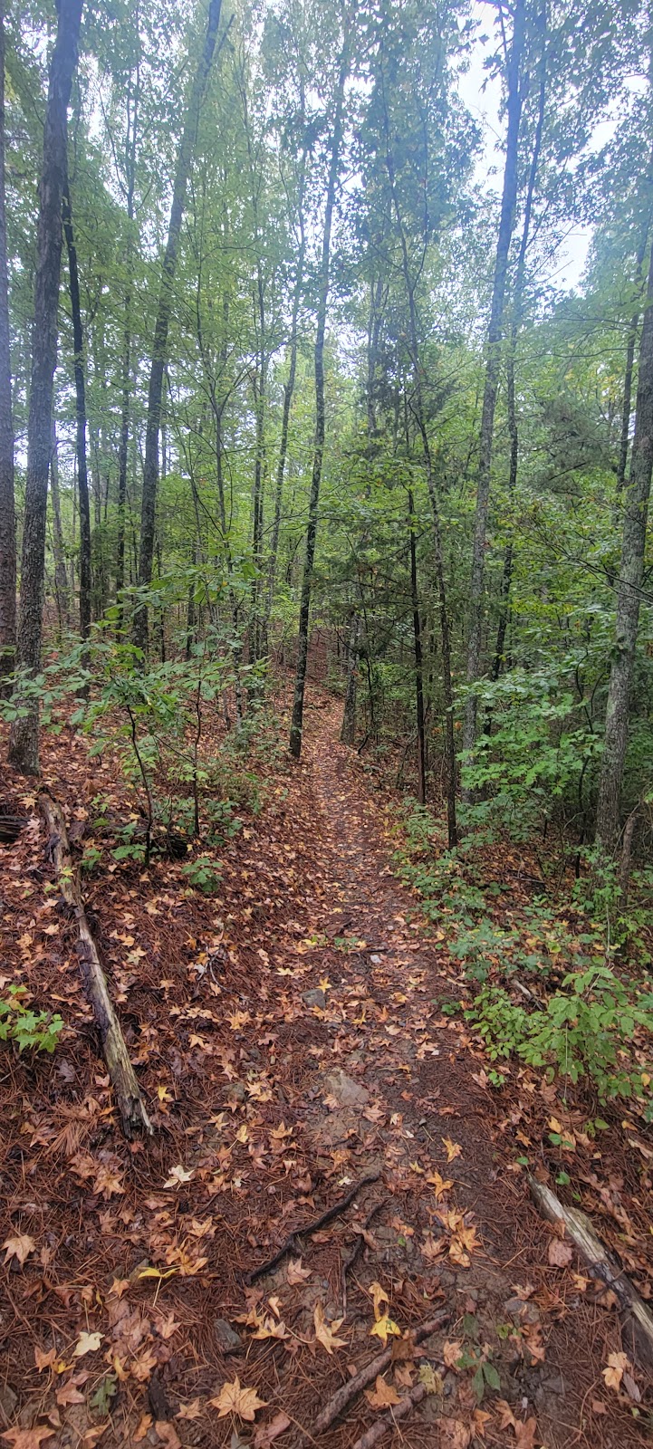 Earthquake Ridge Trail