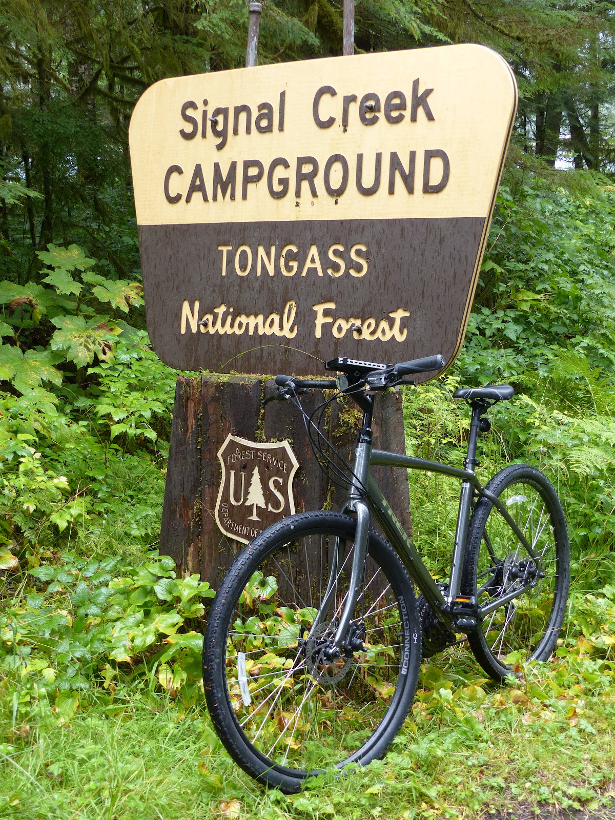 Signal Creek NF Campground