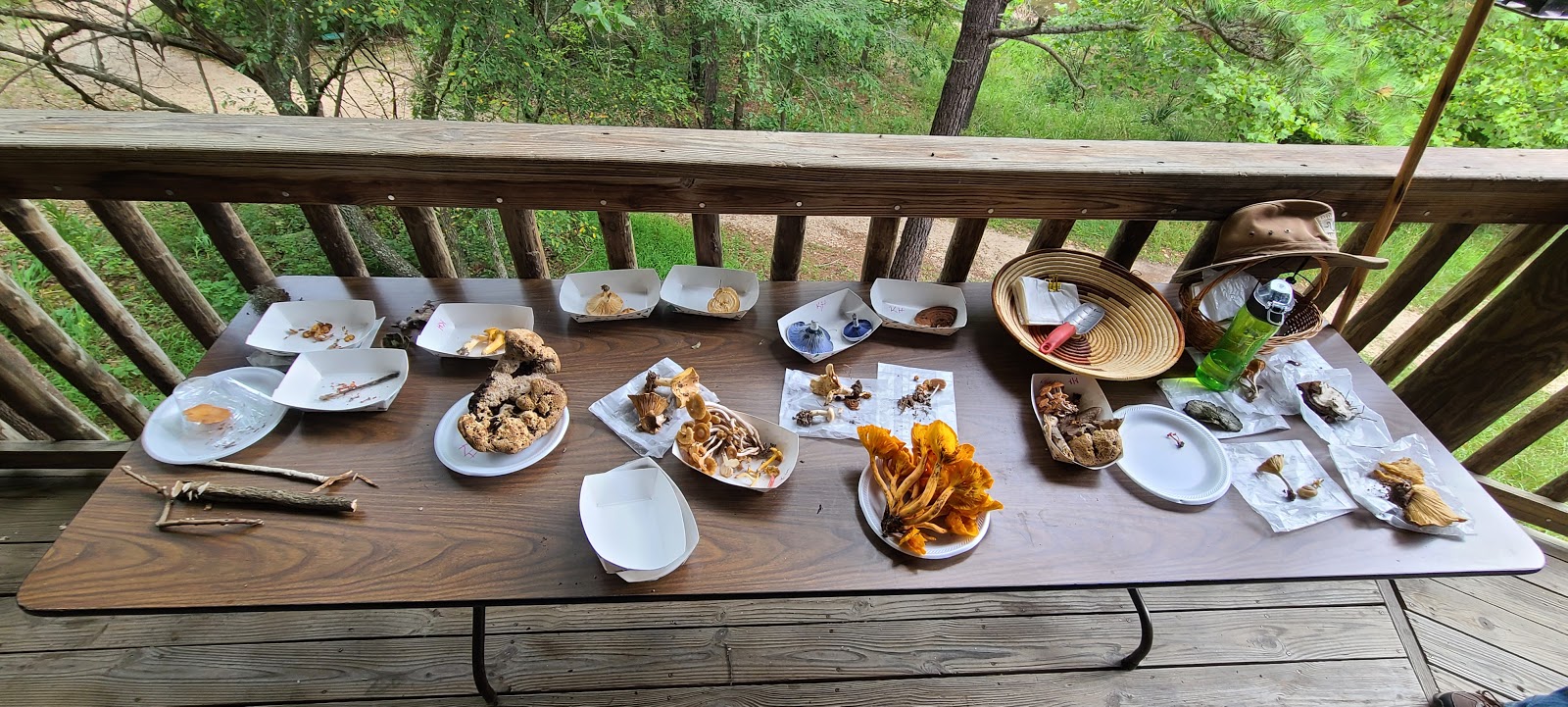 Ozark Natural Science Center