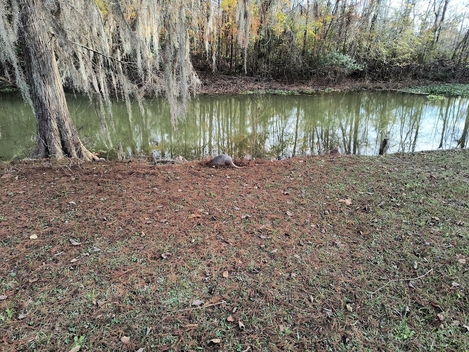 Hales Landing Campground