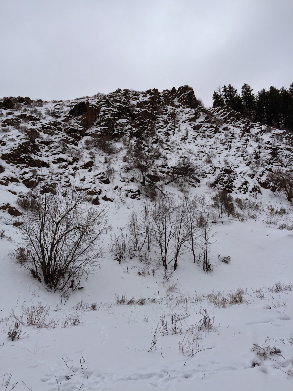 Mink Creek Group Site Campground